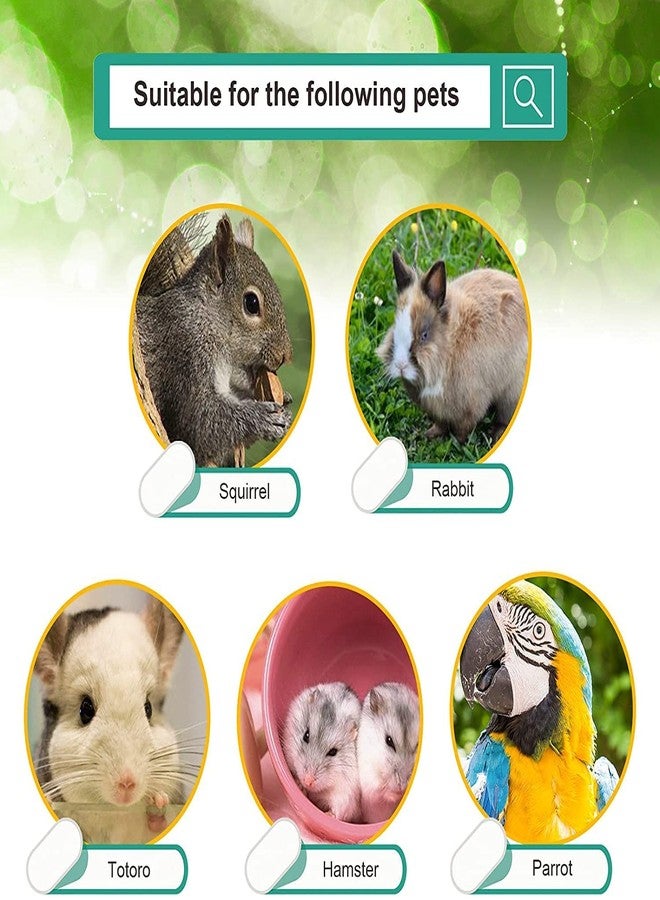 Firstly 5 Pcs Natural Willow Branch Ball for Small Animals, Rabbit Chew Toys, Guinea Pig and Bird Chewing Toys for Rabbits, Chinchilla, Hamsters, Guinea Pigs, Gerbils, Parrot (3 Inch, Multi) - Image 2